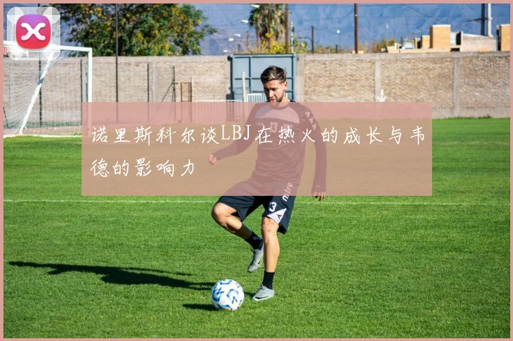 诺里斯科尔谈LBJ在热火的成长与韦德的影响力